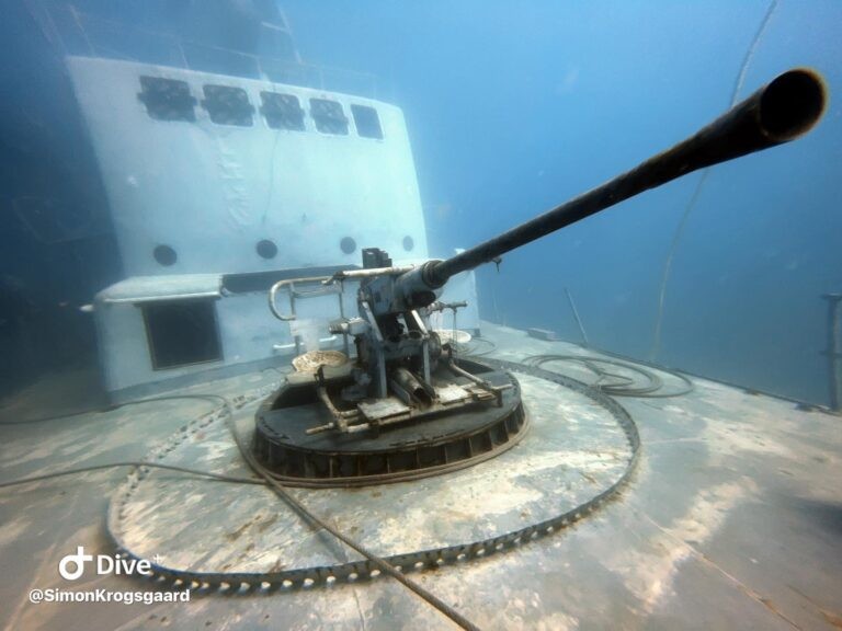 Les récifs artificiels sont plus résilients aux changements climatiques et à la pollution, offrant un environnement stable pour la vie marine. Ils facilitent également des recherches et des études précieuses en biologie marine et en écologie. Les récifs artificiels sont plus résilients aux changements climatiques et à la pollution, offrant un environnement stable pour la vie marine. Ils facilitent également des recherches et des études précieuses en biologie marine et en écologie.