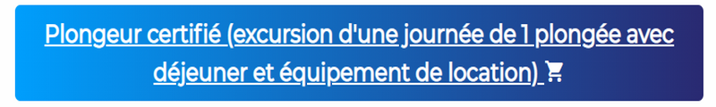 Plongeur certifié (excursion d'une journée de 1 plongée avec déjeuner et équipement de location)