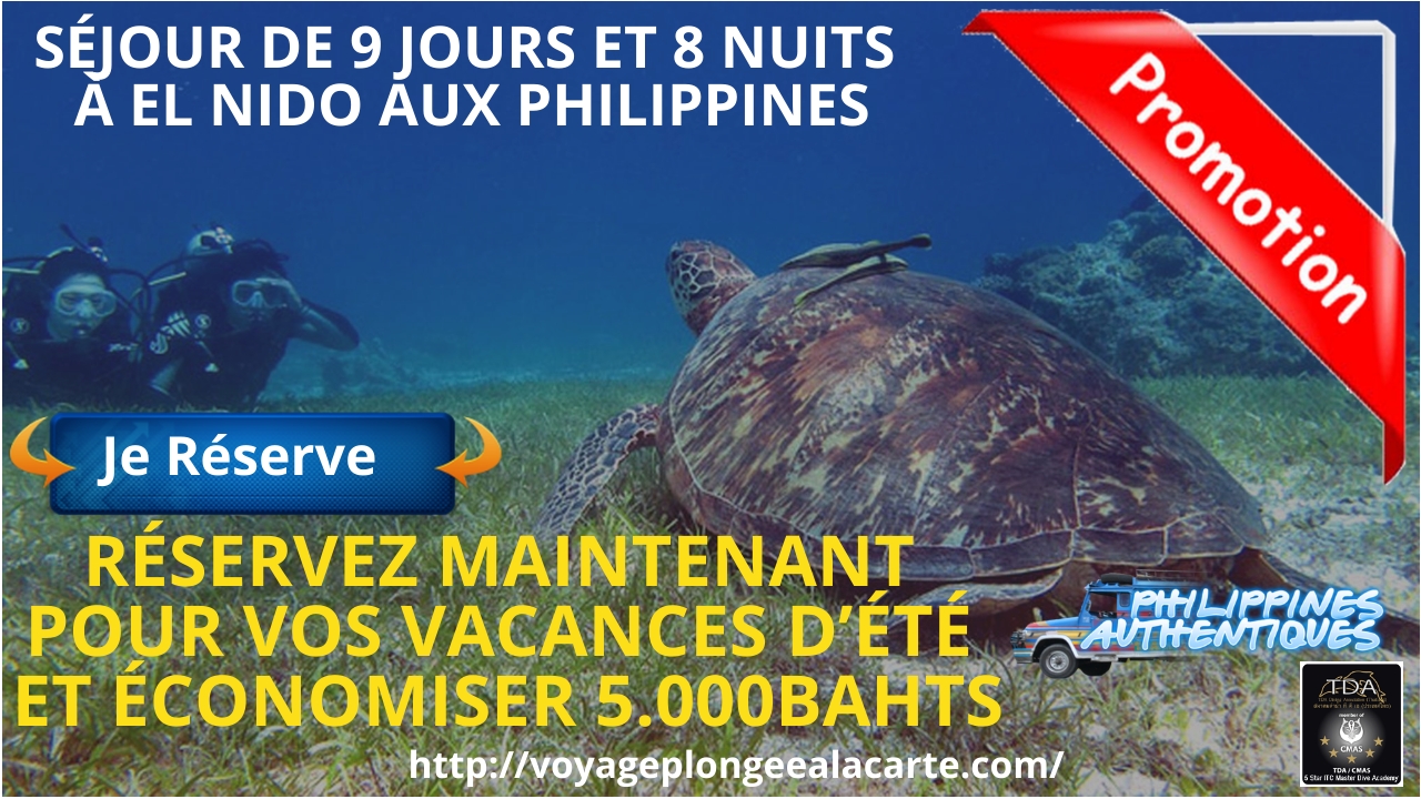 SÉJOUR DE 9 JOURS ET 8 NUITS À El Nido SÉJOUR DE 9 JOURS ET 8 NUITS À El Nido