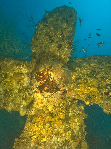 🏴☠️ les épaves de Thaïlande, Seacrest : Le mystérieux navire de forage hanté par des fantômes avec le centre de plongée 5 étoiles Dive Académy Thailand Diving Pattaya Thaïlande Asie 🏴☠️ les épaves de Thaïlande, Seacrest : Le mystérieux navire de forage hanté par des fantômes avec le centre de plongée 5 étoiles Dive Académy Thailand Diving Pattaya Thaïlande Asie