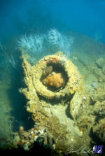 L exploration de l épave du Tottori Maru est bien plus qu une simple plongée ; c est une immersion totale dans un monde de merveilles sous-marines. Laissez-vous envoûter par la beauté saisissante de cet environnement subaquatique et créez des souvenirs qui dureront toute une vie. L exploration de l épave du Tottori Maru est bien plus qu une simple plongée ; c est une immersion totale dans un monde de merveilles sous-marines. Laissez-vous envoûter par la beauté saisissante de cet environnement subaquatique et créez des souvenirs qui dureront toute une vie.