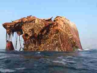 the vertical wreck floats away toward cambodia. unique dives under the stirn of the vessel at 50meters looking up the entire length of the hull.